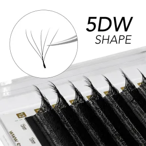 0.07mm 5D W Clover Lashes