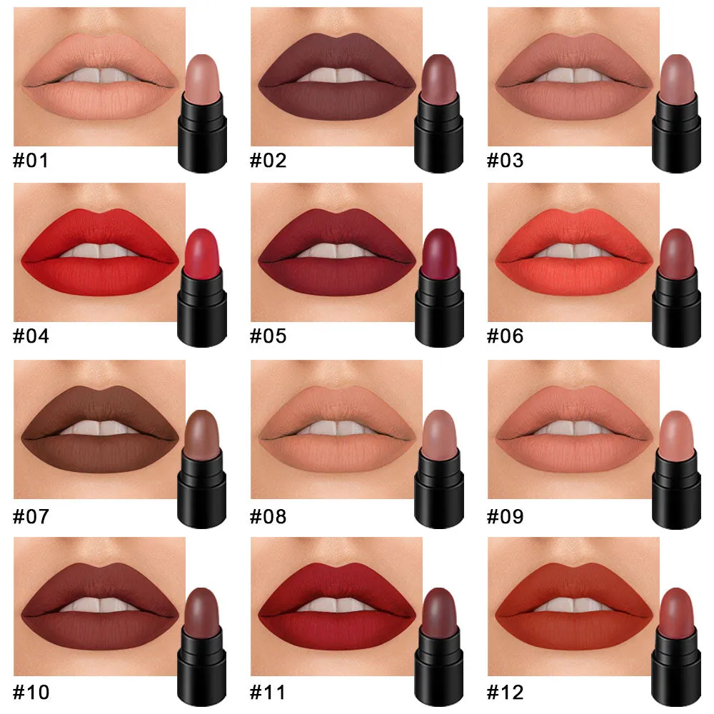 12 Colors Moisture Matte Lipstick Set Velvety Long Lasting Nude Waterproof Lipsticks Allure Series Kit(Allure Color)