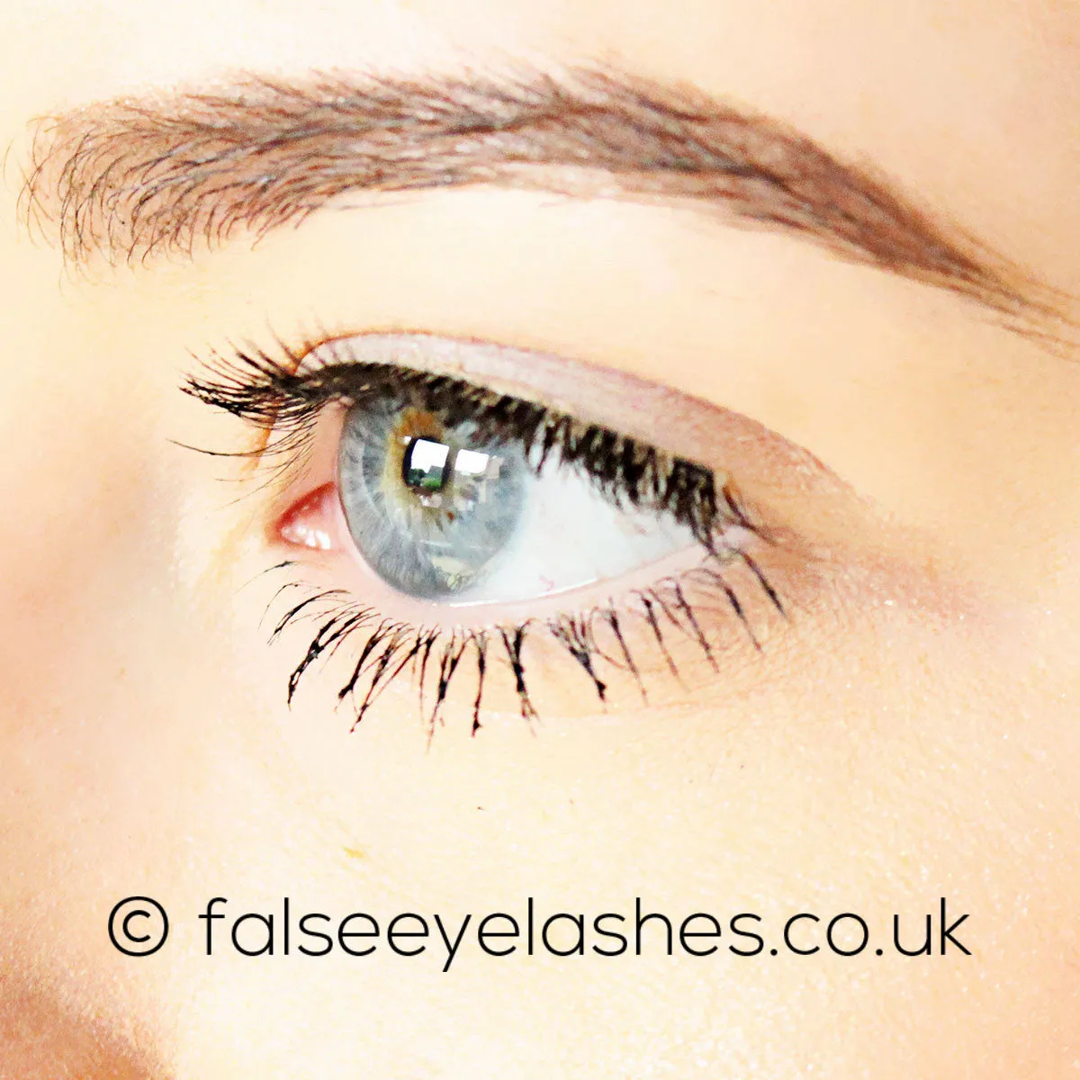 Ardell Pro Corset Lashes 503
