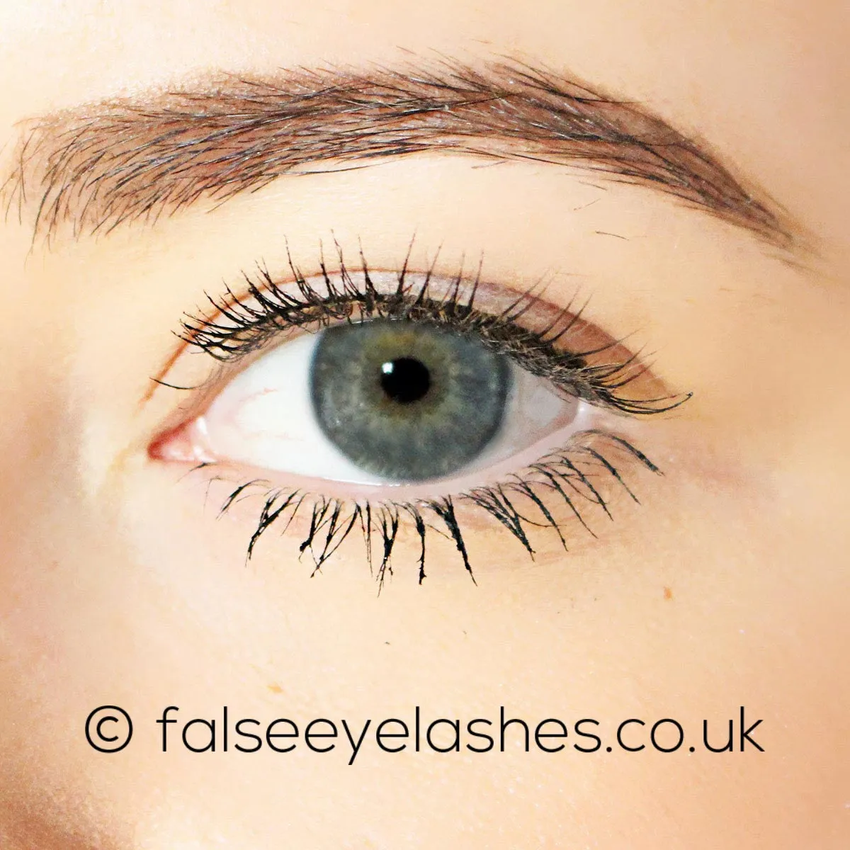 Ardell Pro Corset Lashes 503