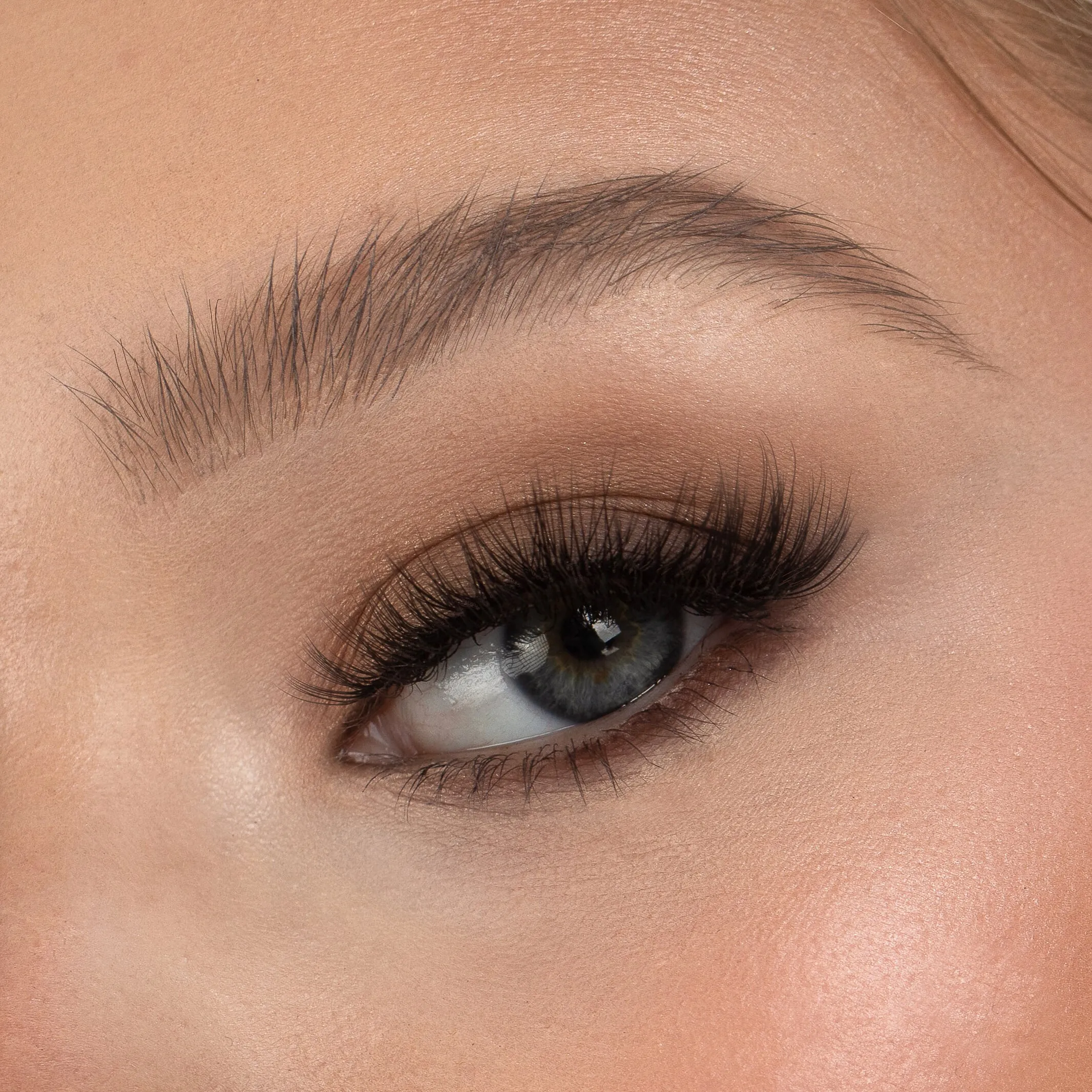 B1 | Tapered & Winged