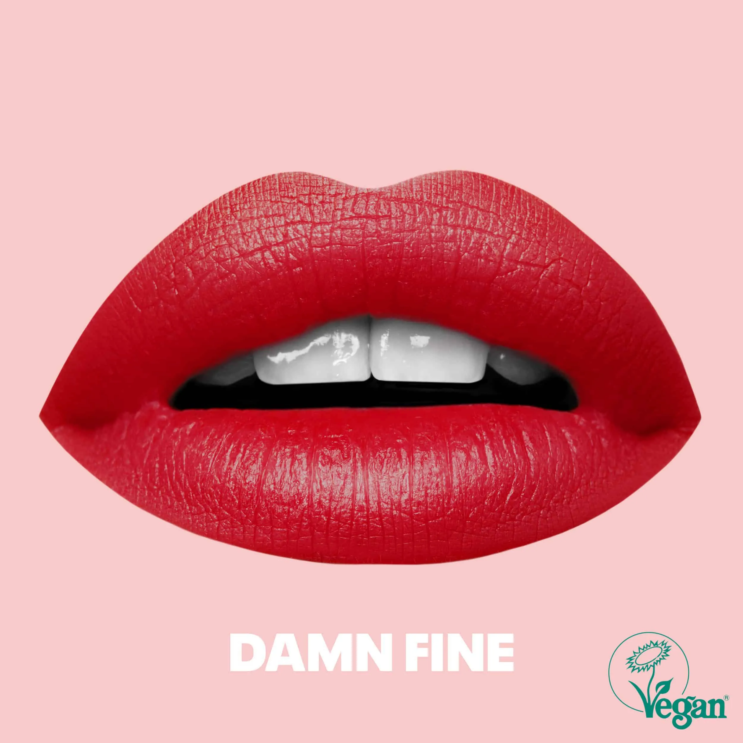 Beauty BLVD Mattitude Lip Liquid – Damn Fine
