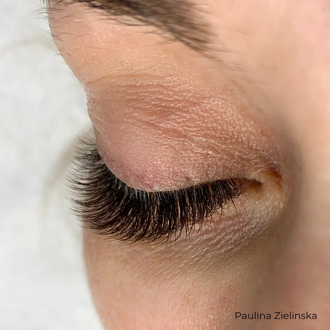 Black Brown Faux Mink Mayfair Lashes 0.07