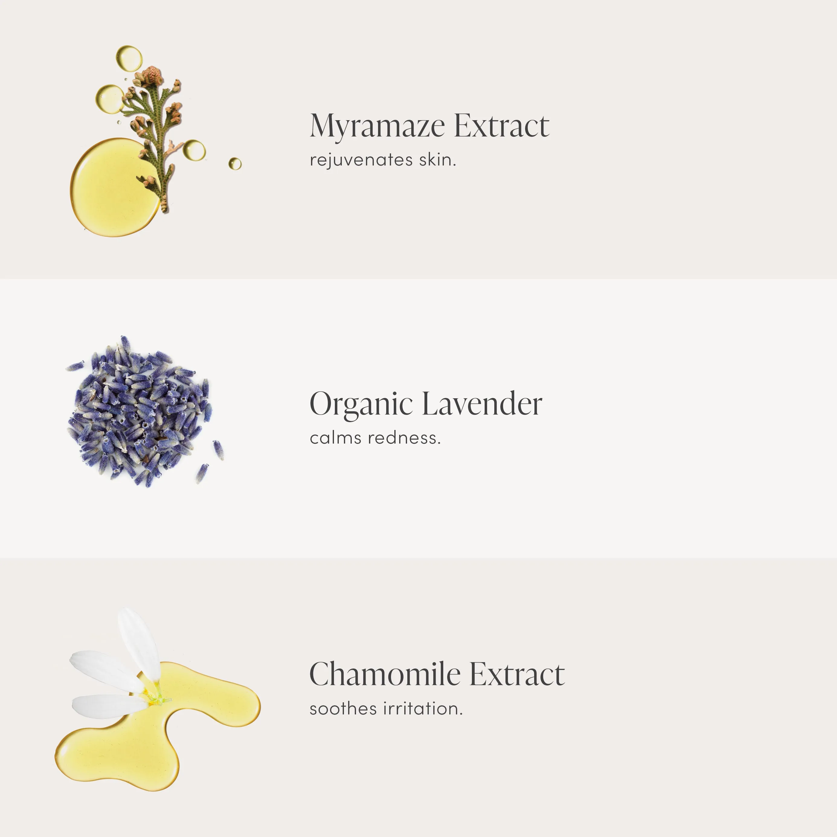 Calming Lavender Hydration Spray Refill