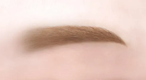 Canmake 3 in1 Eyebrow 02 Ash Brown N