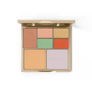 Correct & Perfect All-In-One Color Correcting Palette