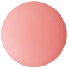Decorte Powder Blush
