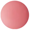 Decorte Powder Blush
