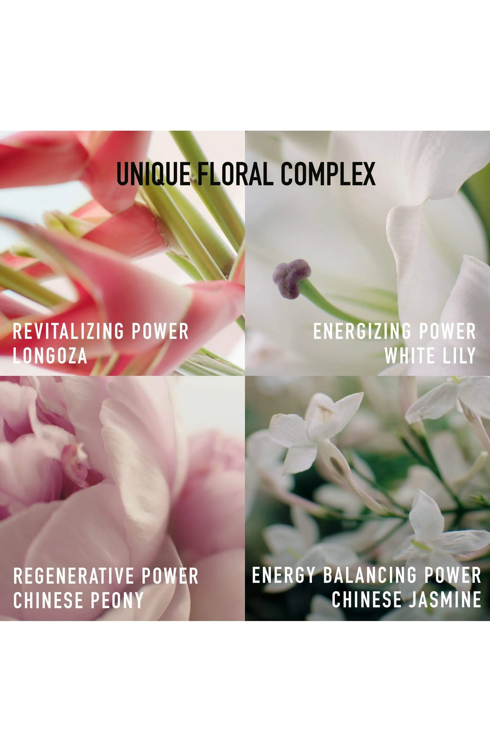 Dior Capture Totale C.E.L.L. Energy Firming & Wrinkle-Correcting Eye Cream