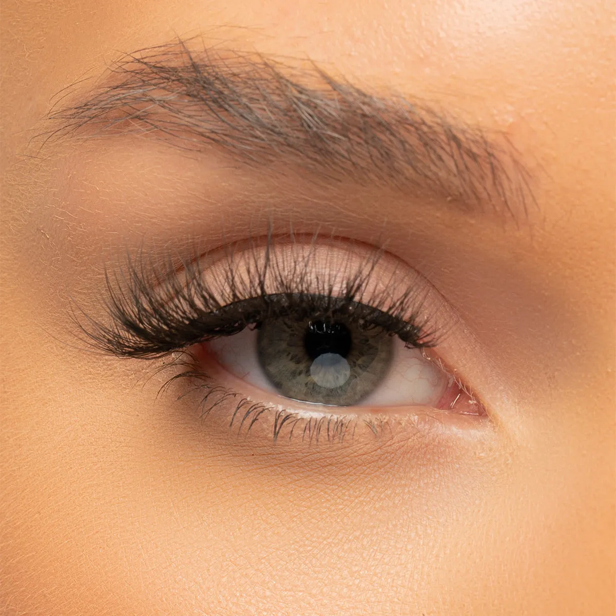 Eye Candy Signature Collection Lashes - Posy