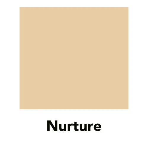 Face in a Box - The Essentials Starter Kit
