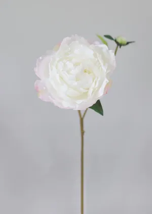 Faux Peony Flower in Cream Blush