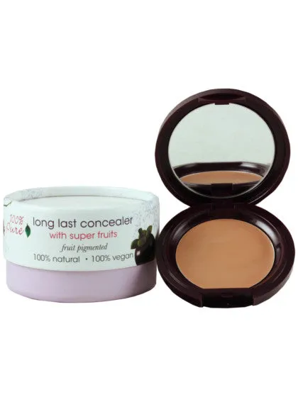 Fruit Pigmented Long Last Concealer