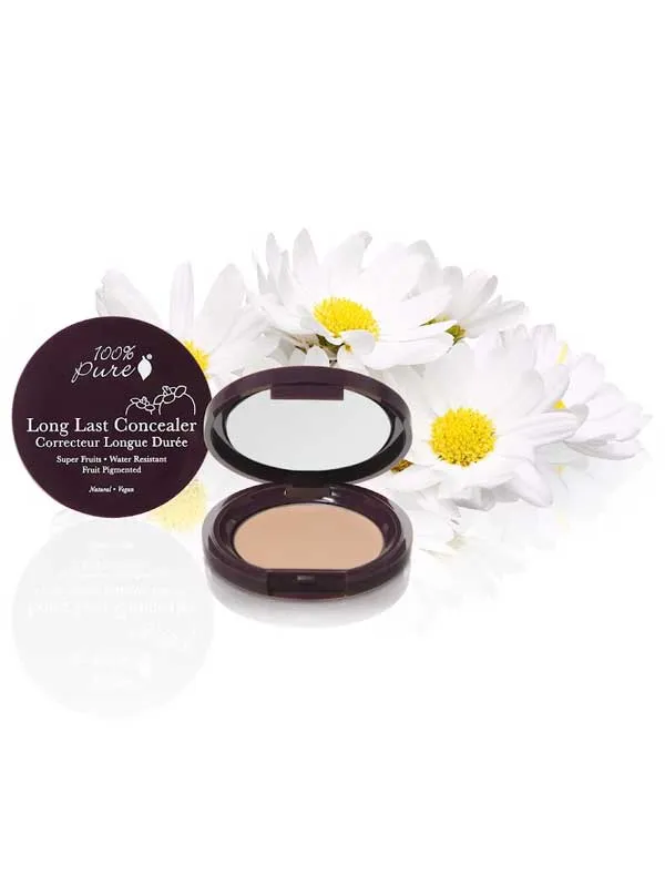 Fruit Pigmented Long Last Concealer