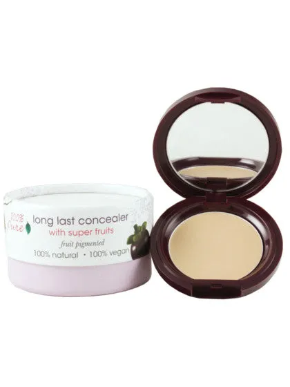 Fruit Pigmented Long Last Concealer