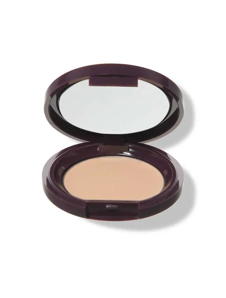 Fruit Pigmented Long Last Concealer