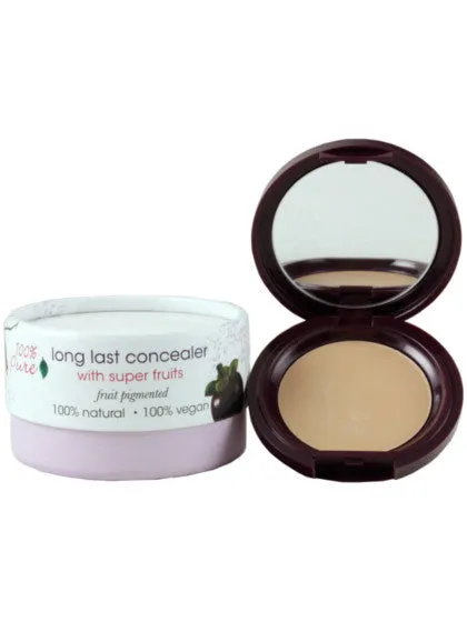 Fruit Pigmented Long Last Concealer