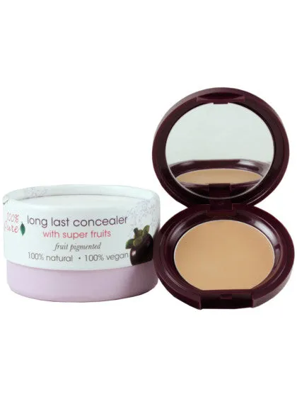 Fruit Pigmented Long Last Concealer