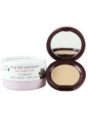 Fruit Pigmented Long Last Concealer