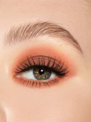 Howl-O-Ween | Eyeshadow Single