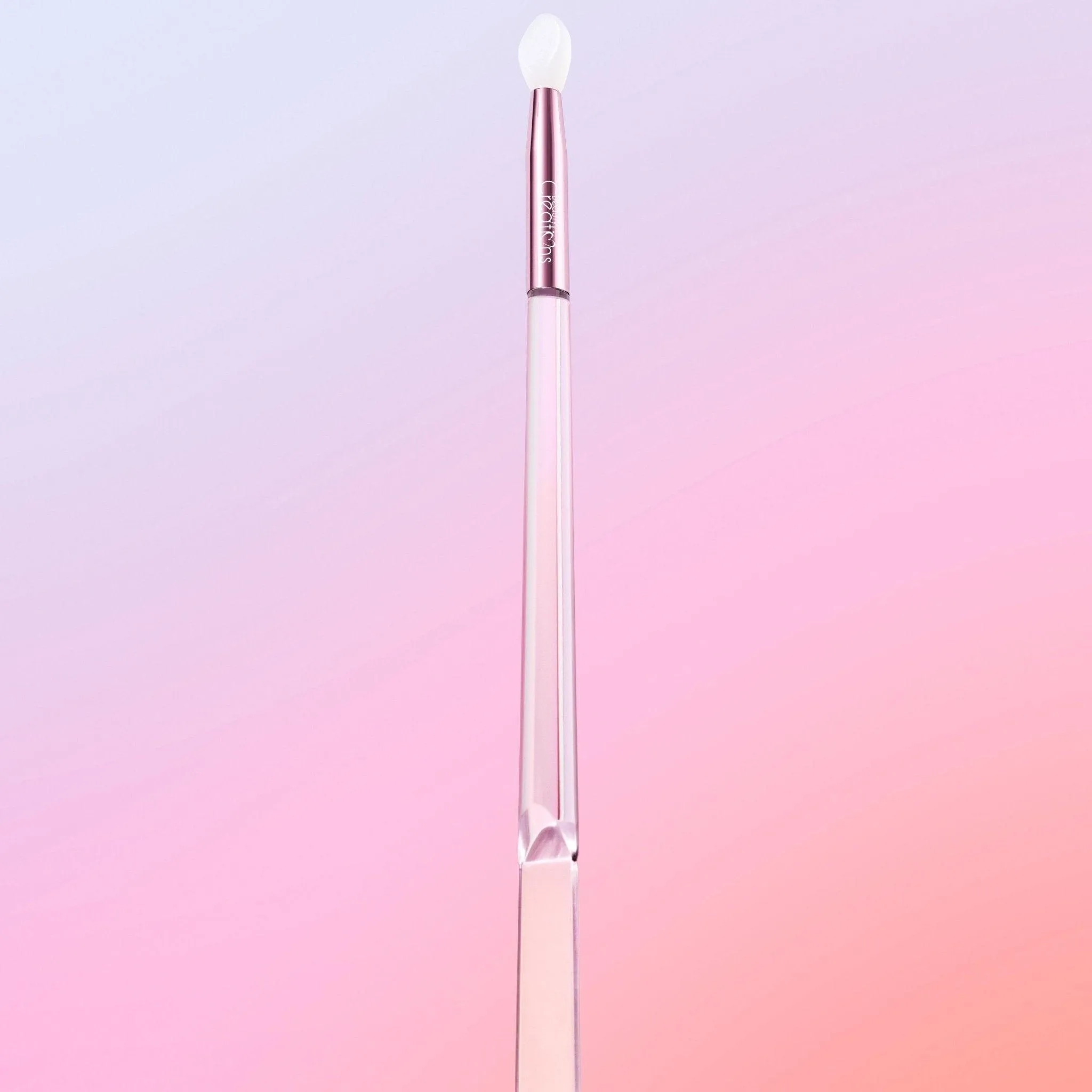 Lip Scrub/Mask Silicone Brush