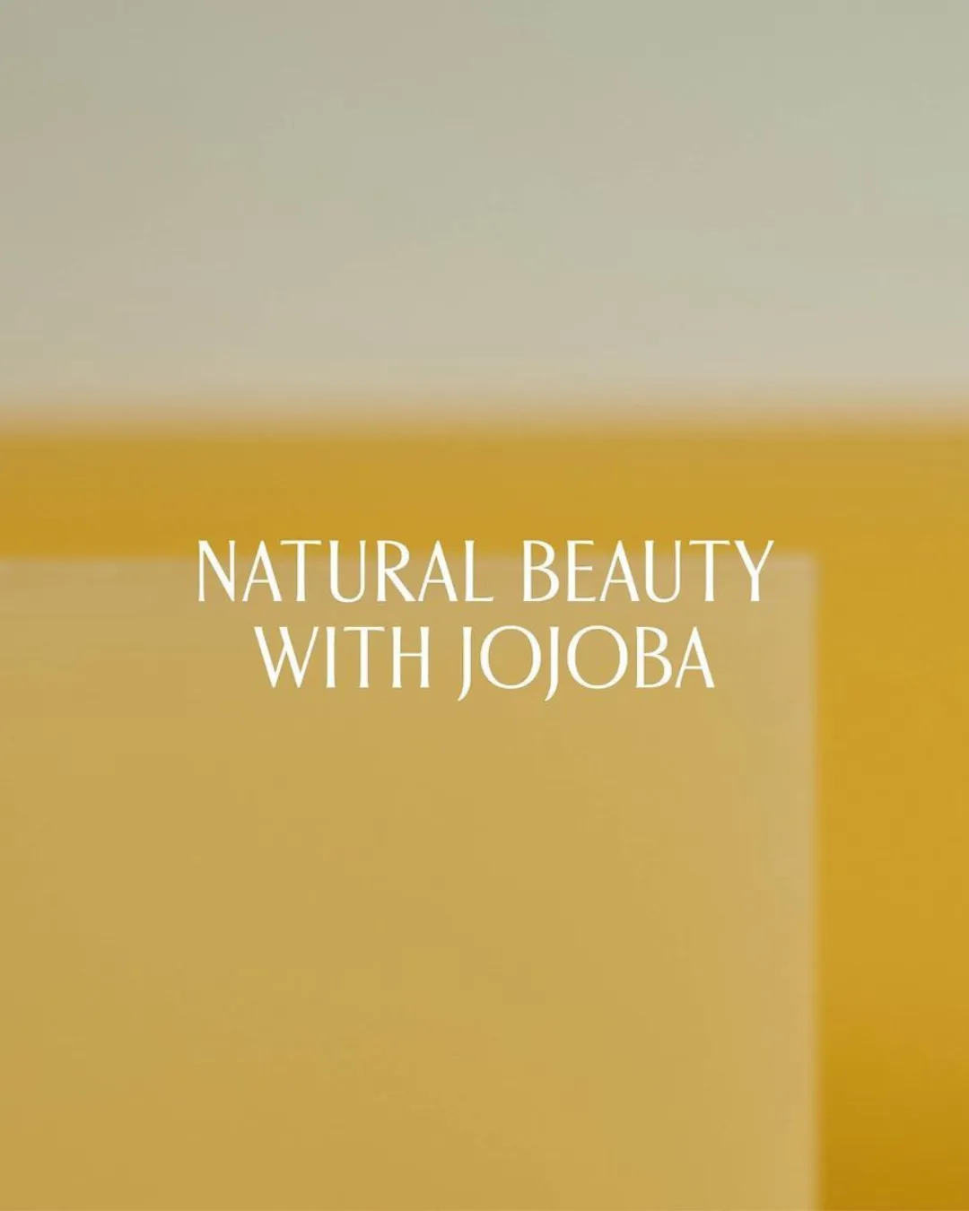 Pink Wonder Jojoba Oil