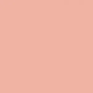 Ruby Kisses Matte Lipstick RMLS