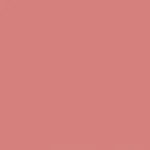 Ruby Kisses Matte Lipstick RMLS