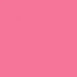 Ruby Kisses Matte Lipstick RMLS