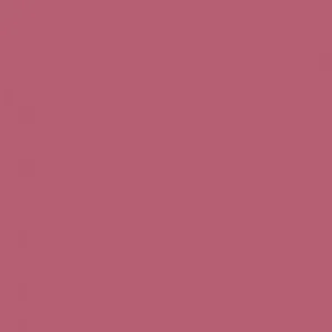 Ruby Kisses Matte Lipstick RMLS