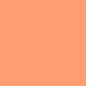 Ruby Kisses Matte Lipstick RMLS