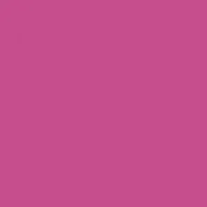 Ruby Kisses Matte Lipstick RMLS