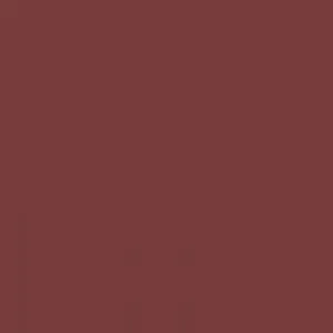 Ruby Kisses Matte Lipstick RMLS