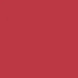 Ruby Kisses Matte Lipstick RMLS