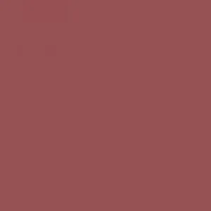 Ruby Kisses Matte Lipstick RMLS