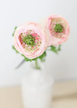 Silk Ranunculus in Pink Cream - 13"