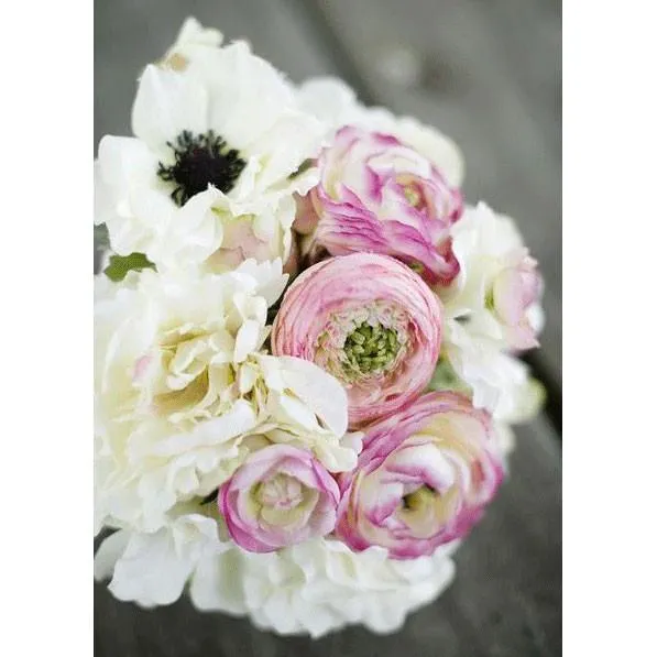 Silk Ranunculus in Pink Cream - 13"