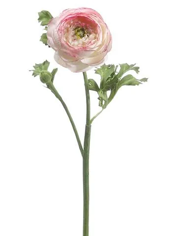 Silk Ranunculus in Pink Cream - 13"