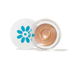 SKIN PERFECTING HIGHLIGHTER CHAMPAGNE 5ML