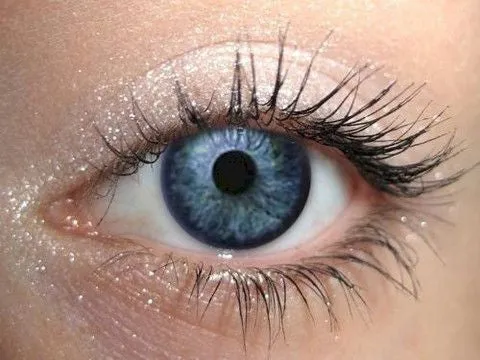 Snow Eyeshadow