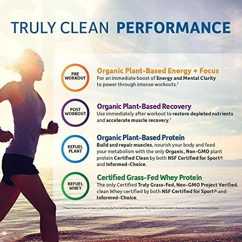 Sport Organic Pre Workout Energy Plus Focus Vegan Energy Powder Blackberry 15.3Oz 432G Powder