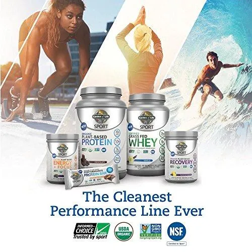 Sport Organic Pre Workout Energy Plus Focus Vegan Energy Powder Blackberry 15.3Oz 432G Powder