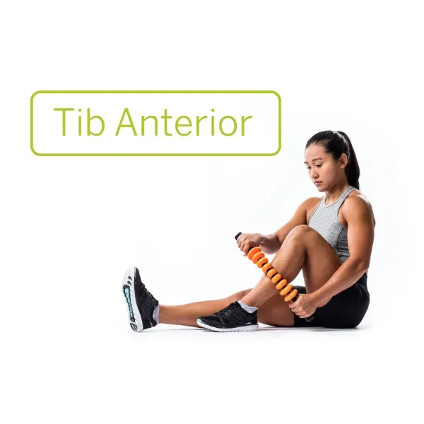 TRIGGER POINT- Therapy Contour Stick