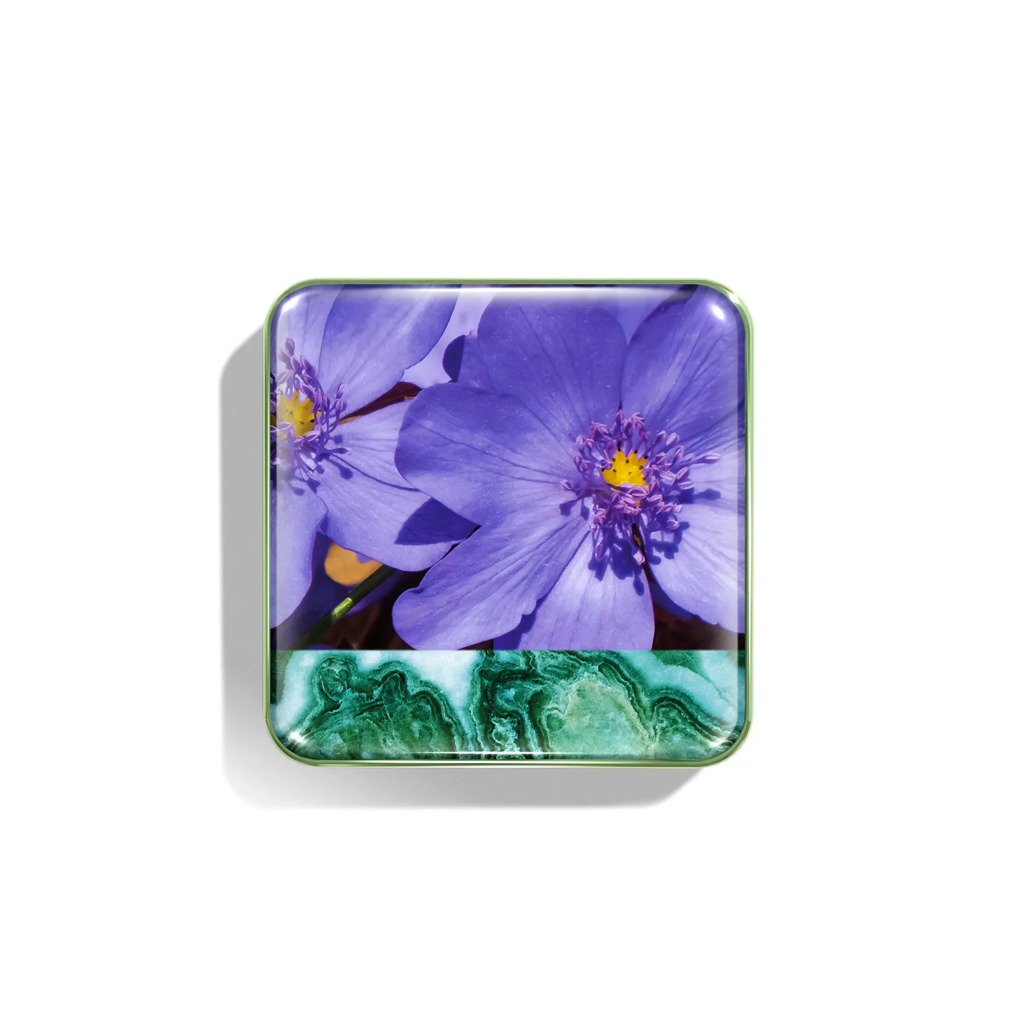 Wild Meadows Blush - Anemone