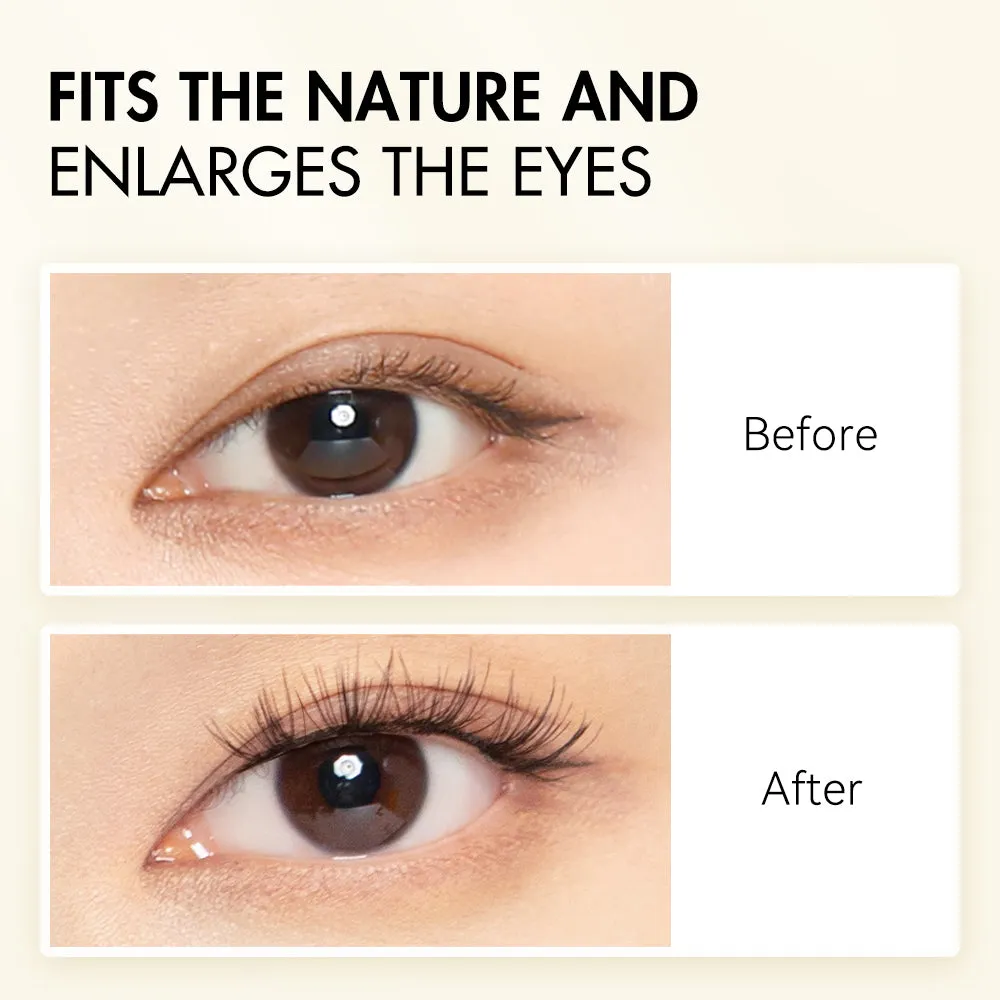 WOSADO® NO.4  Sunset Brown Plus Soft Magnetic Eyelashes – Upgraded All-in-One Box